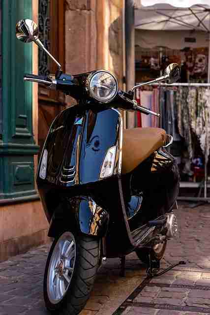 蘑菇视频iOS沉浸式解析版本对比