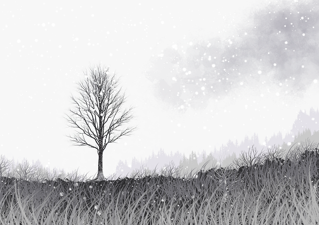 蘑菇视频：沉浸式探索与省流量秘籍