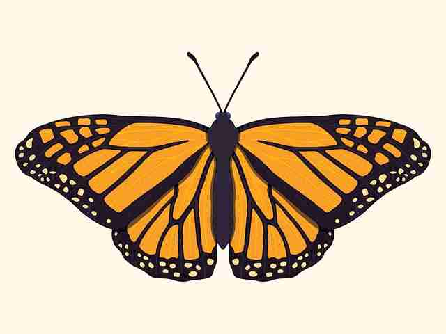 极致 海角官网用户口碑 89招《深度》