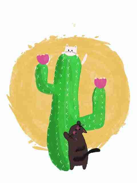 每日大赛黑料站上风口，专家级解析